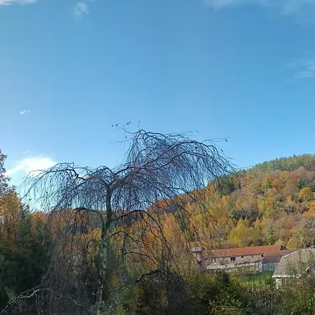 게스트하우스 Les Terrasses De La Foret 나소그네