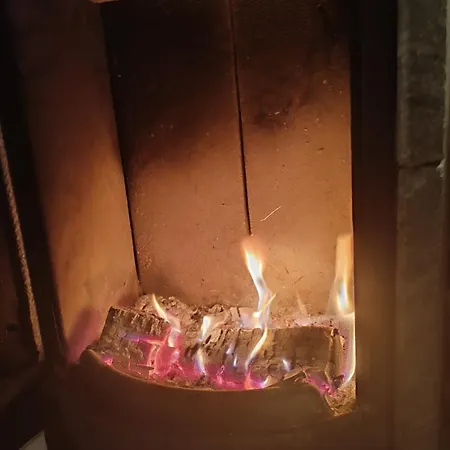Les Terrasses De La Foret 게스트하우스 나소그네