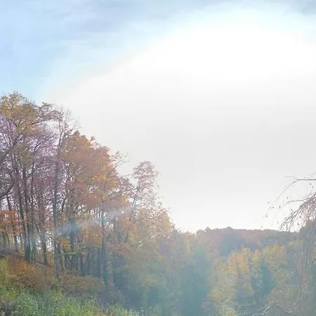 Les Terrasses De La Foret 나소그네